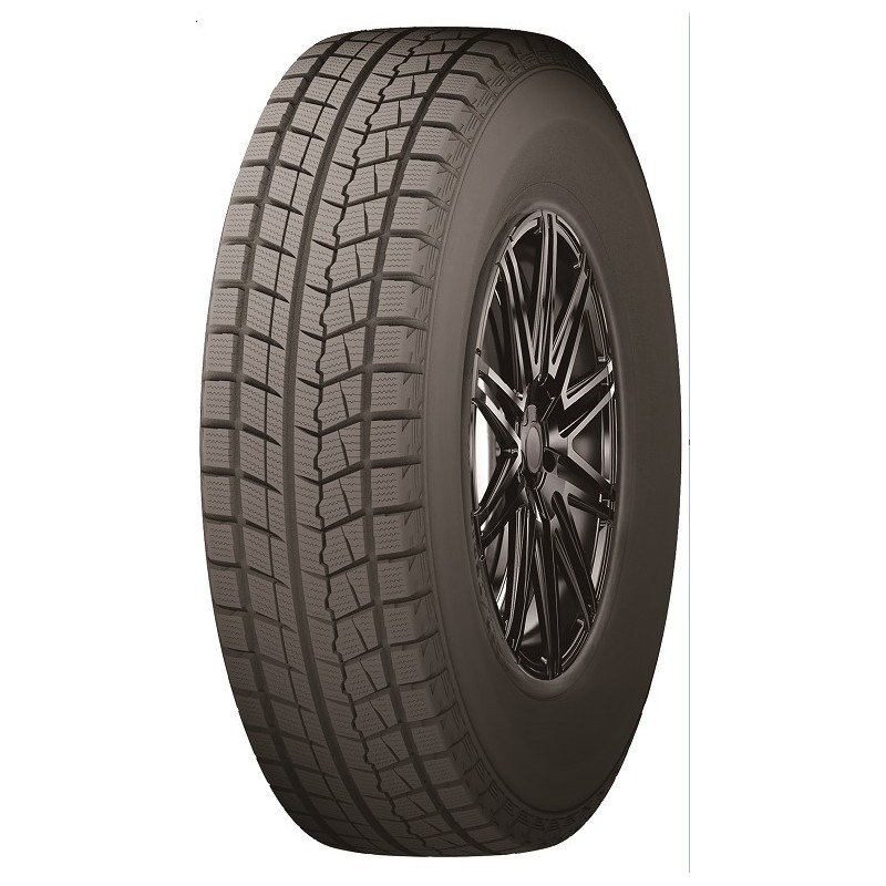 Fronway IcePower 868 195/55 R16