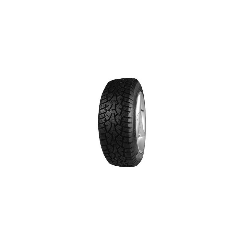 Dunlop WINTER EVR 205/55 R17